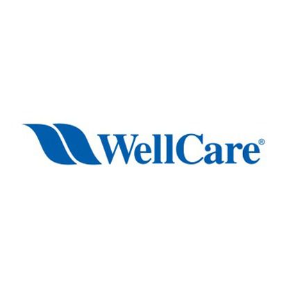 Is WellCare Medicare Advantage good? (2022 Update)
